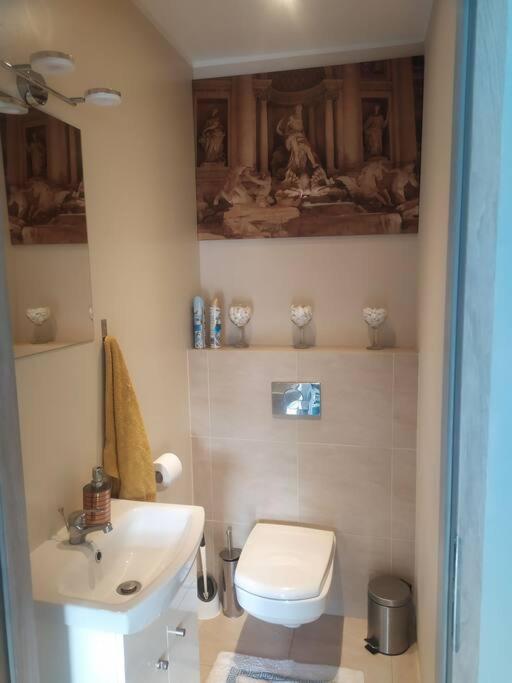 הוילה Zakrzewo Zalesie Dom W Malowniczej Wsi Z Imprezowa Stodola Hot Tub Jacuzzi מראה חיצוני תמונה